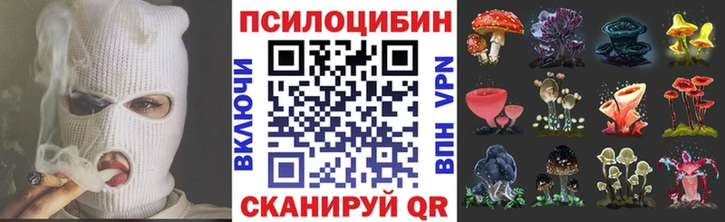 Псилоцибиновые грибы Magic Shrooms  Новотроицк 